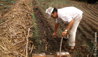 Nuevas claves sobre la desigualdad en El Salvador