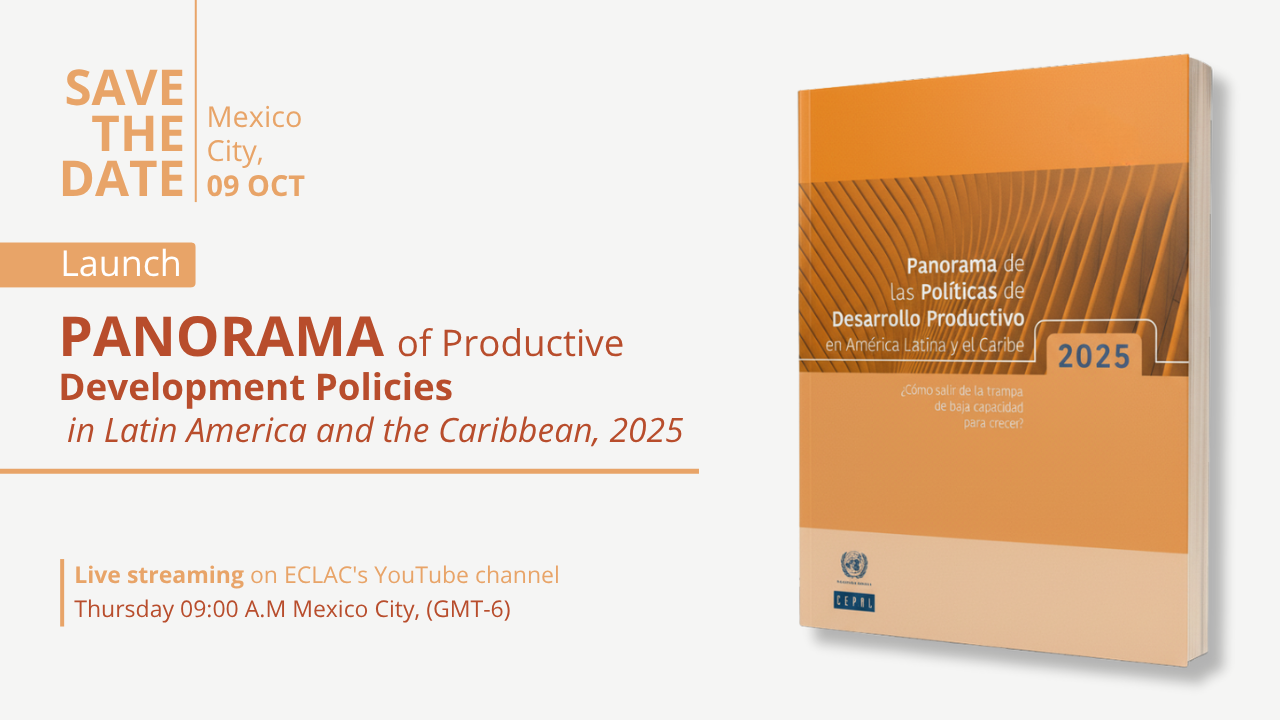 Banner Panorama of Productive Development Policies 2025