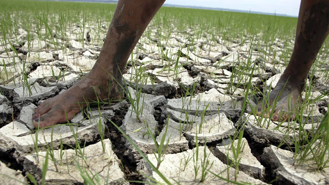 Las pequeñas acciones, multiplicadas por miles de millones, producirán cambios drásticos en el planeta, dice Ban Ki-moon.