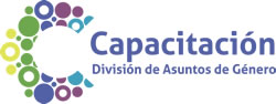 Capacitación División de Asuntos de Género