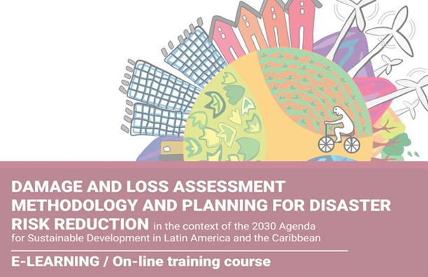 Damage and Loss Assessment Methodology and Planning for Disaster Risk Reduction