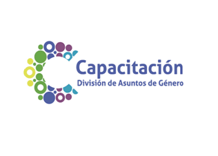 Capacitación División de Asuntos de Género