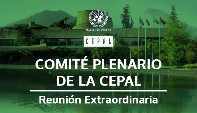 comite_plenario reunionextraordinaria