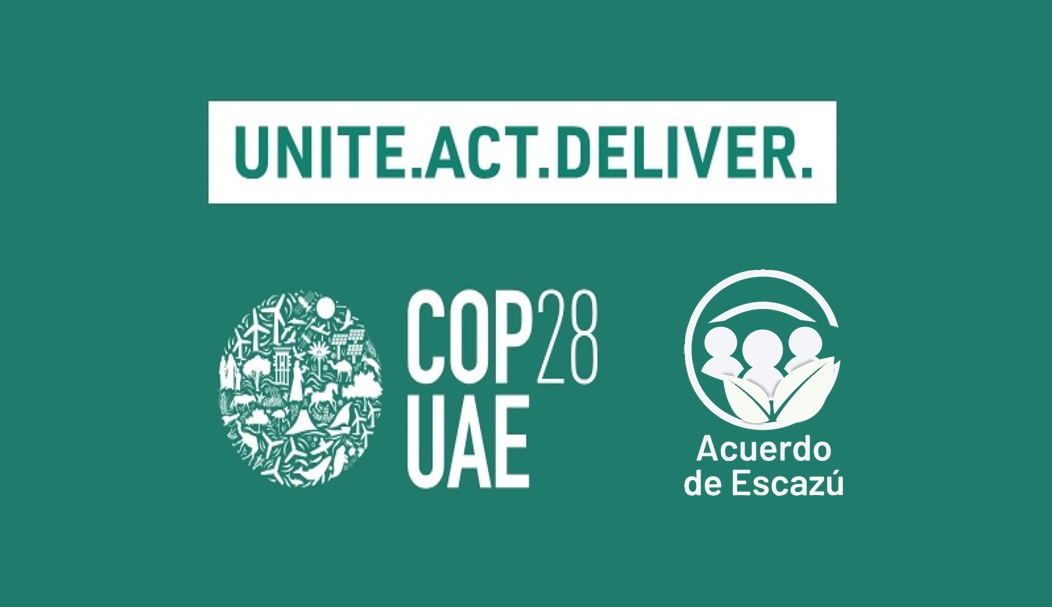 cop 28