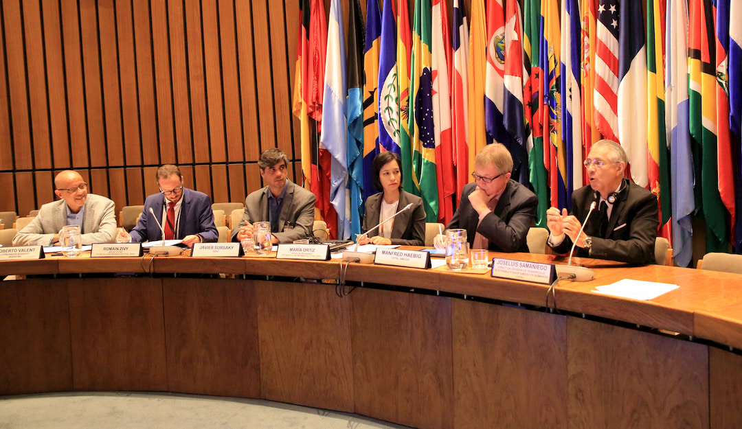 Taller Regional para países de America Latina y El Caribe que presentan los Informes Nacionales Voluntarios (INV) en 2020