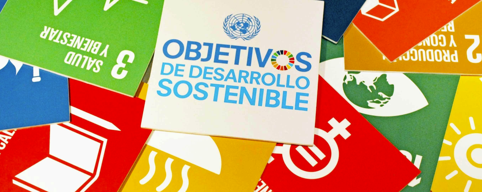 Agenda 2030 para el Desarrollo Sostenible