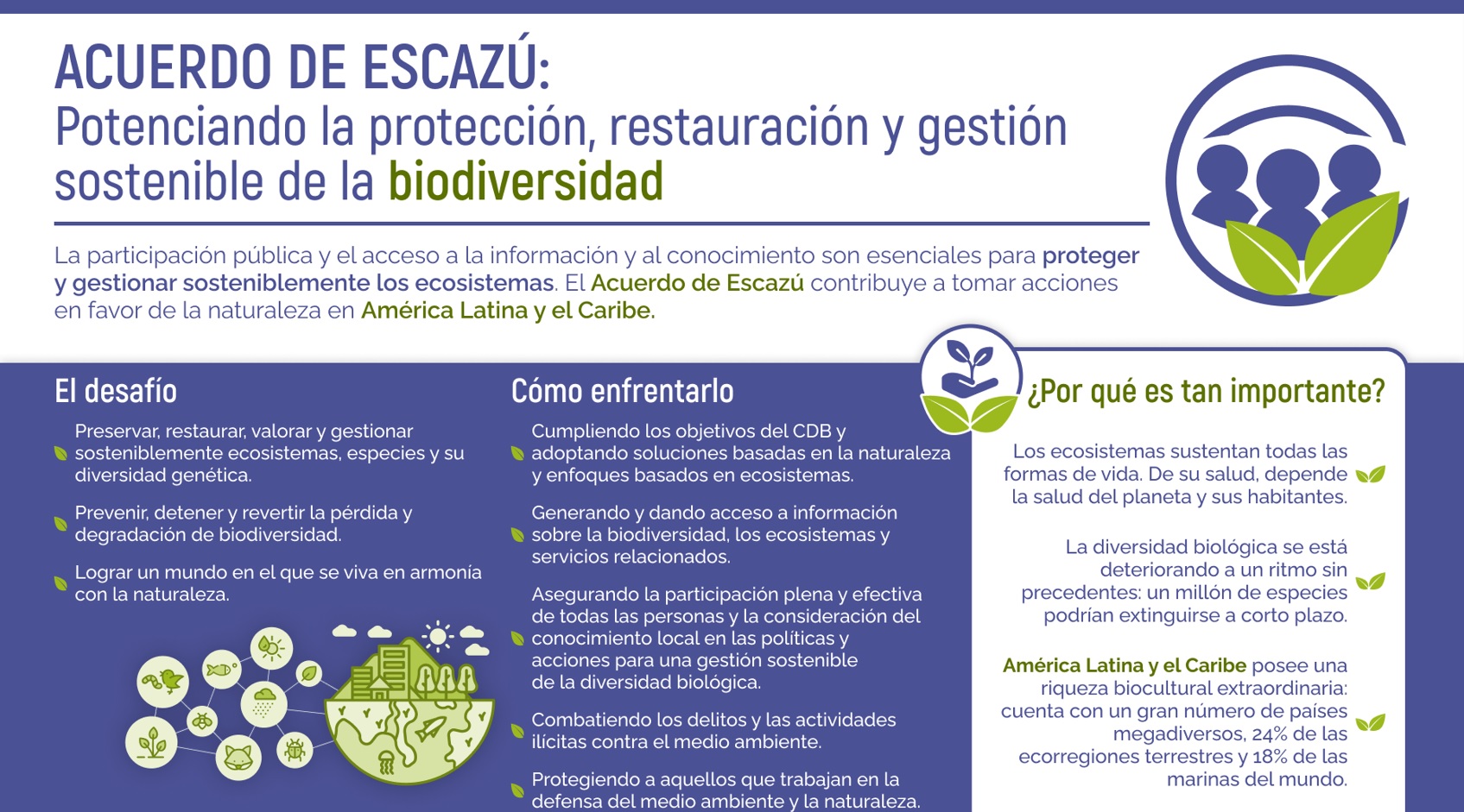 infografiabiodiversidad.jpg