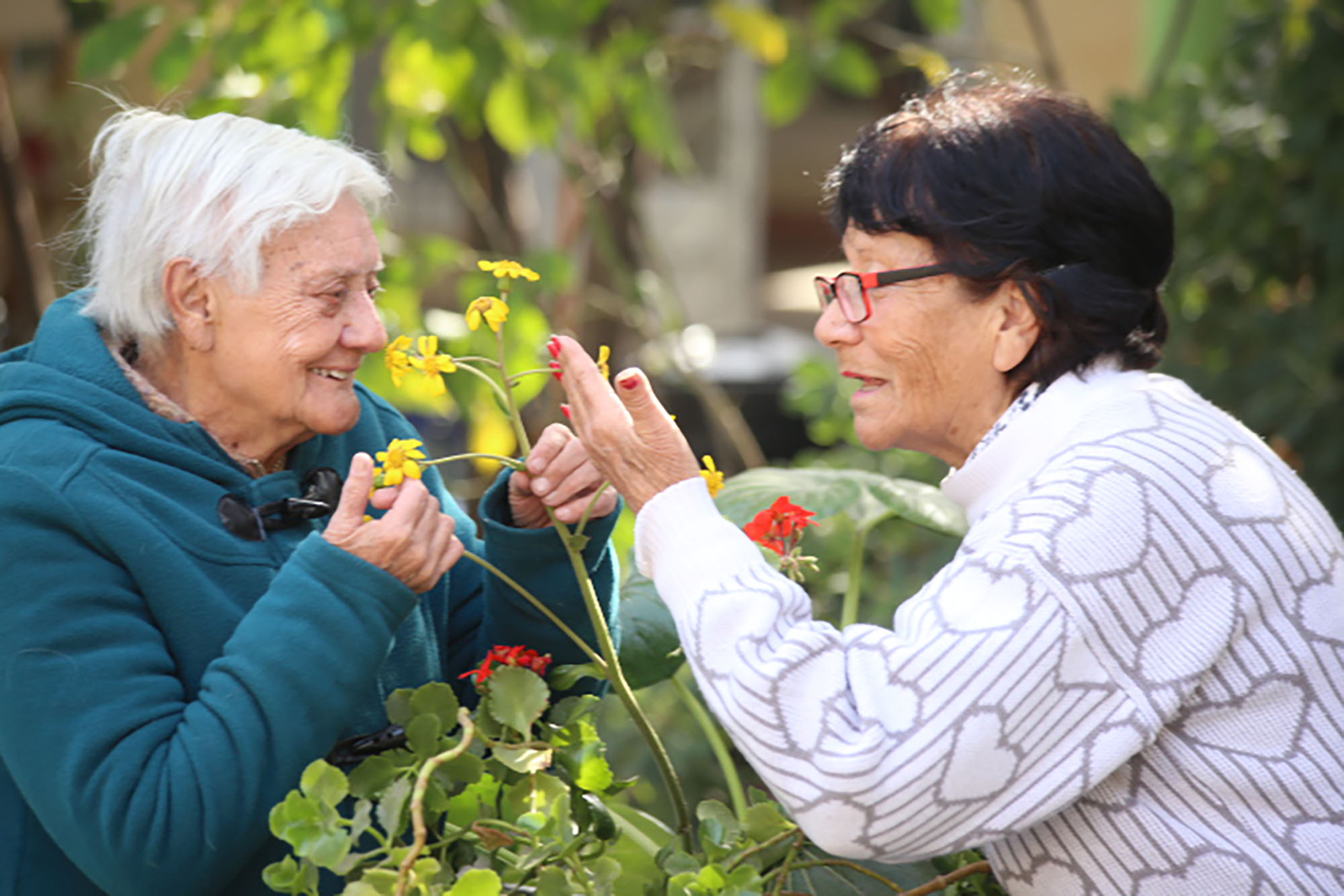 dos mujeres adultas mayores mirando flores