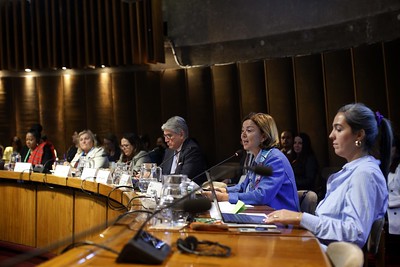 Foto panel presentación de la publicación
