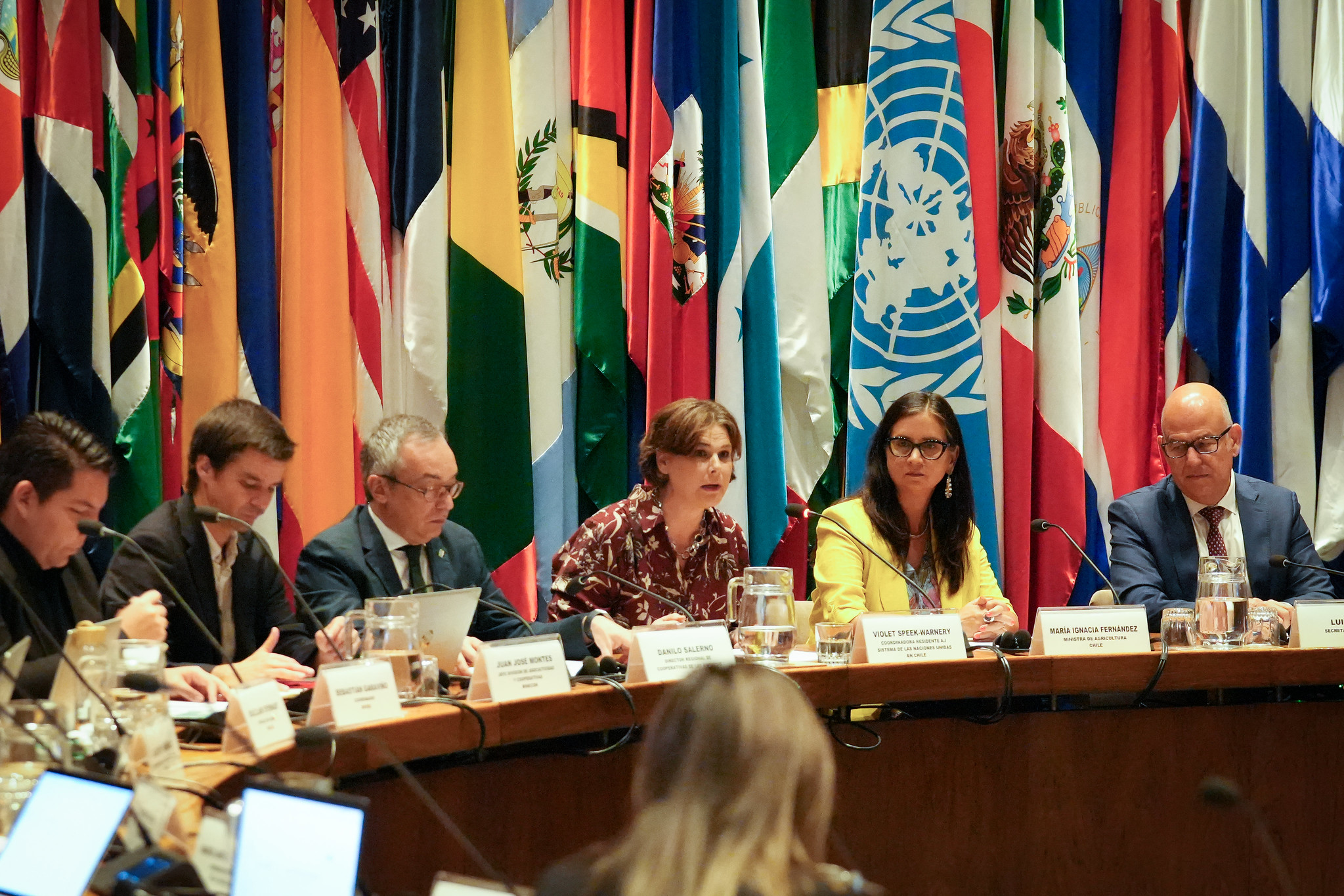 participantes en la reunión