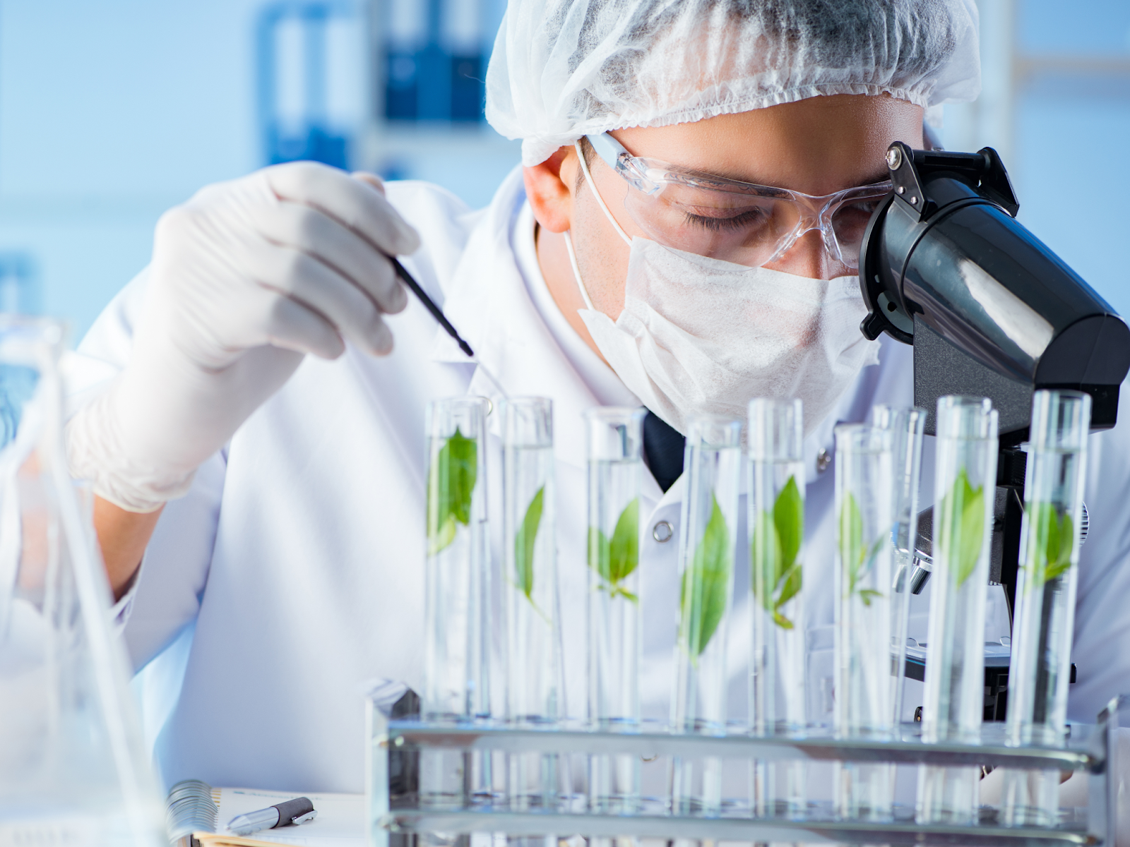 Bioeconomía