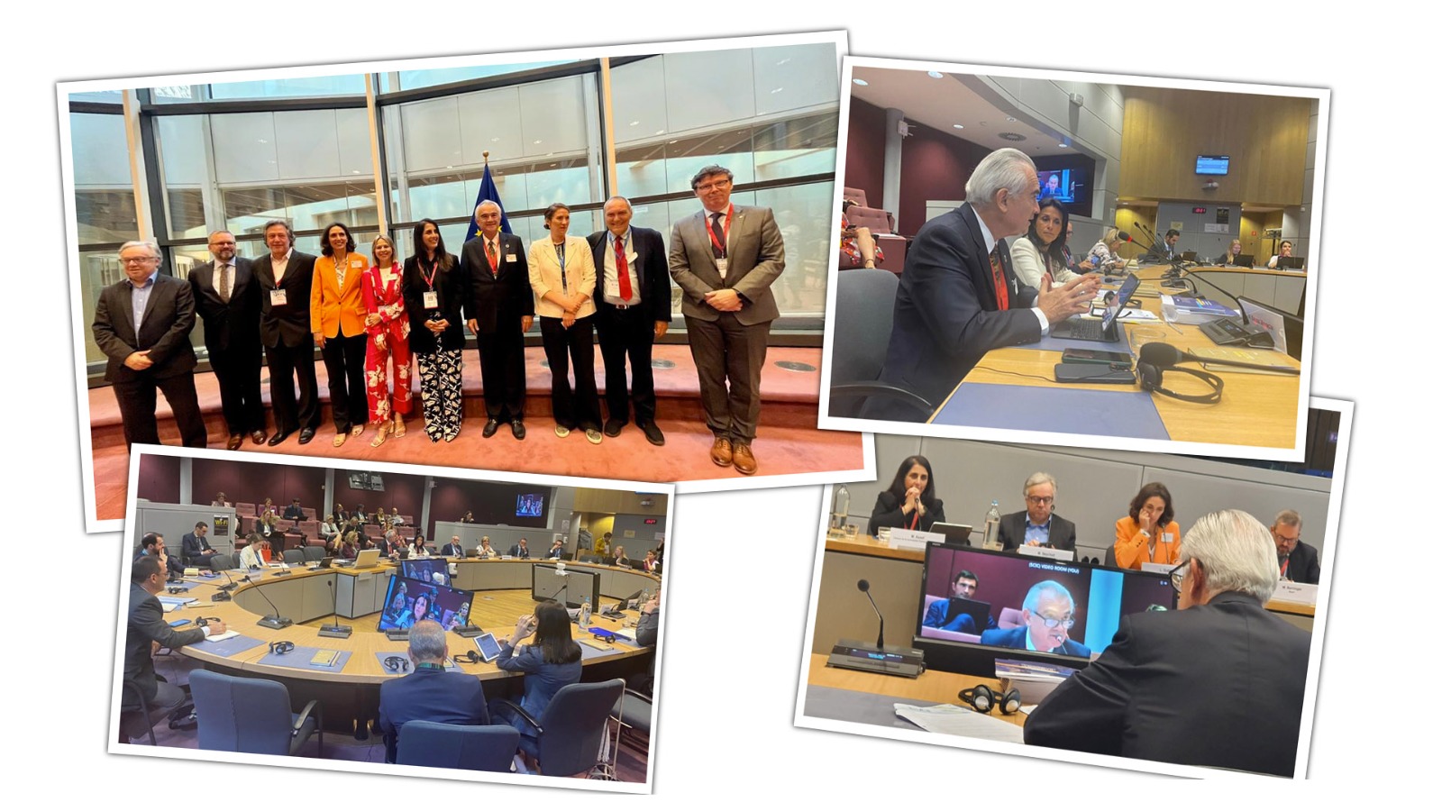 Collage de fotos de Mesa Redonda Empresarial UE-ALC