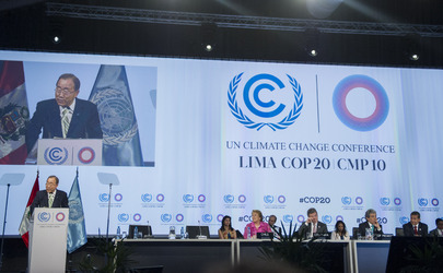COP 20 aprueba declaración ministerial sobre derechos de acceso y cambio climático | CEPAL