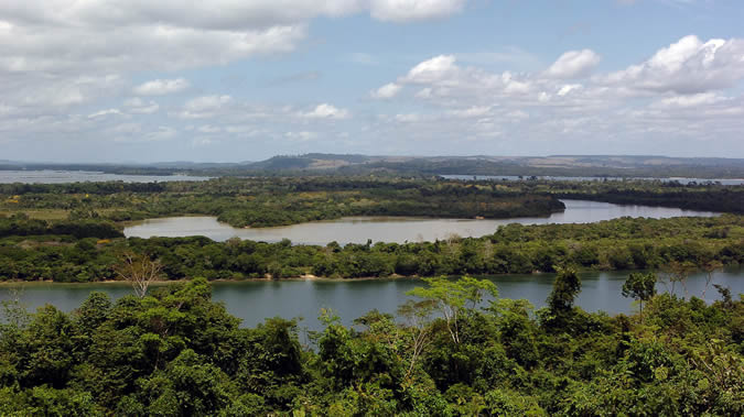 Vista de la selva amazónica de Brasil.