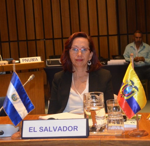 Representante el Salvador