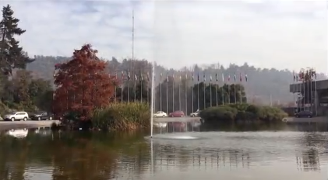 Imagen video