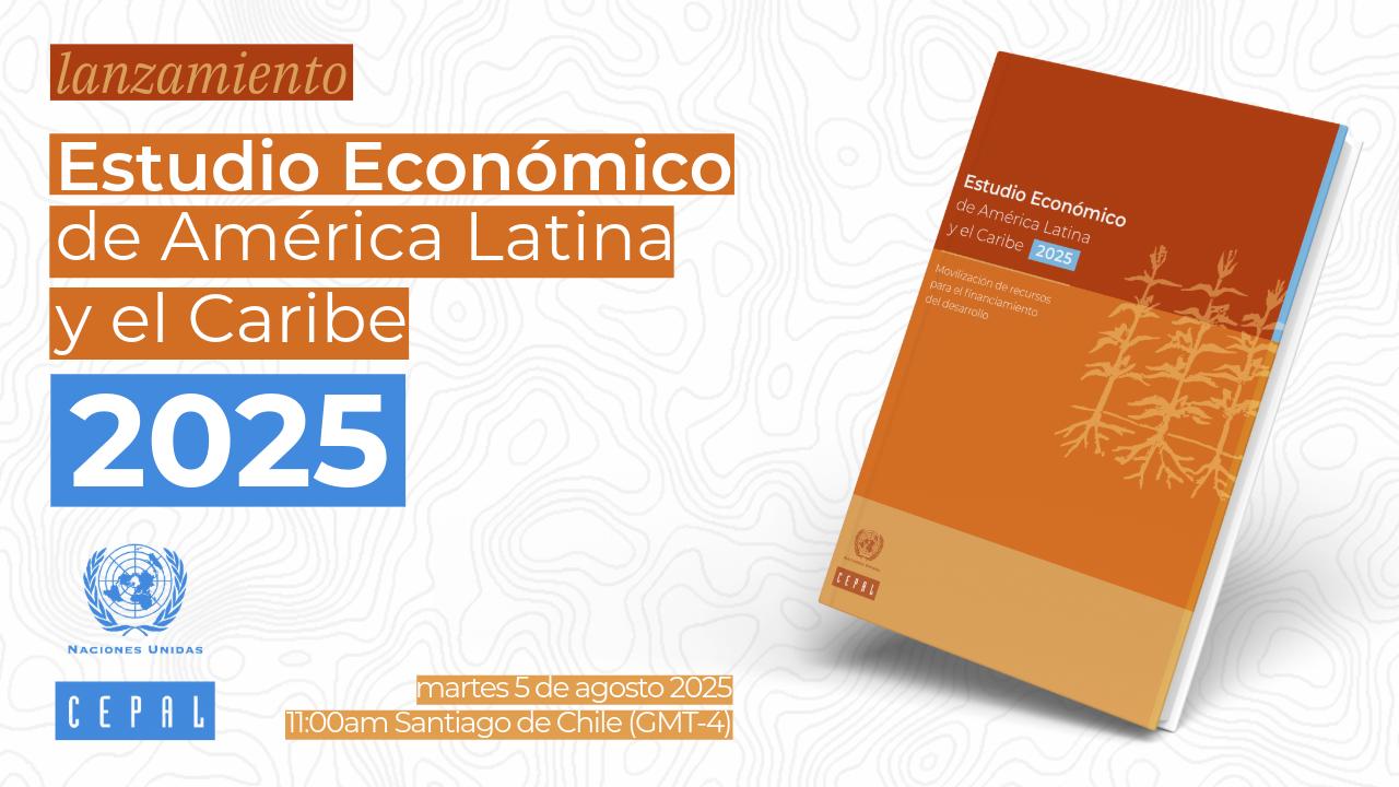 Banner lanzamiento Estudio Económico 2025 ESP