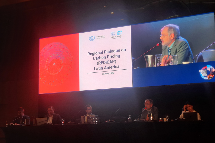 Taller sobre Precios al Carbono, Artículo 6 y REDiCAP 2025 CEPAL