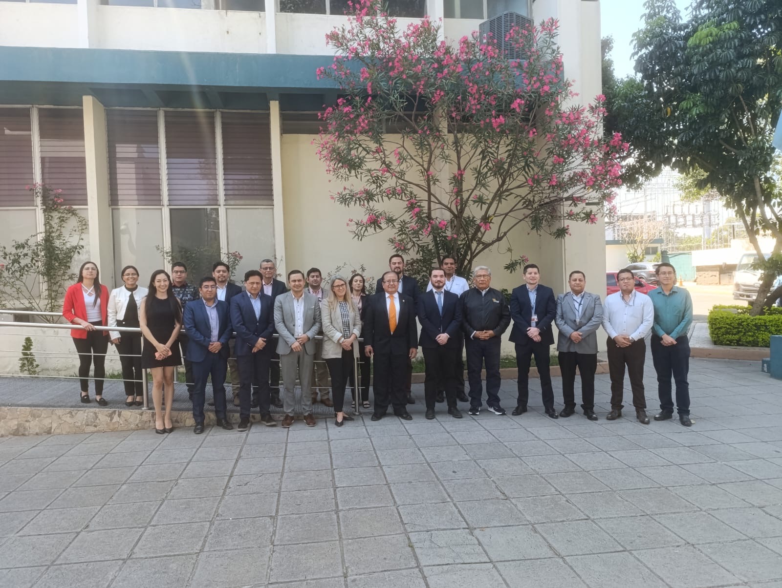 ECLAC Provides Technical Assistance to Guatemala in Workshop on Risks and Best Practices in Transmission System Tendering Processes