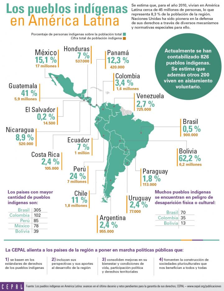infografía