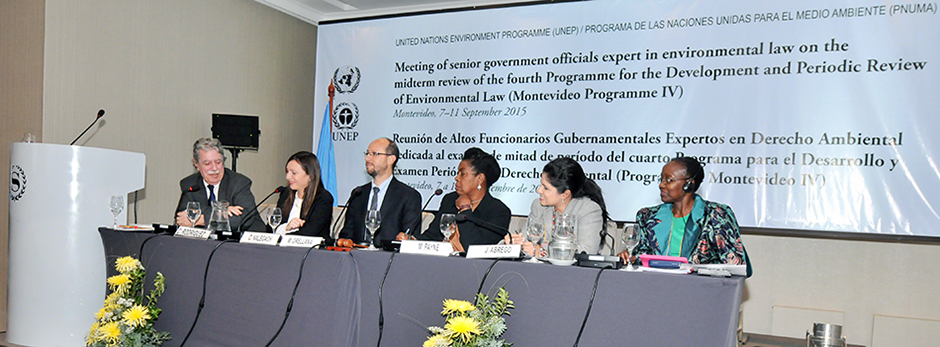 Participantes en el evento paralelo sobre el proceso regional sobre el Principio 10