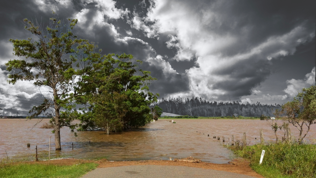 natural_disaster_0.png