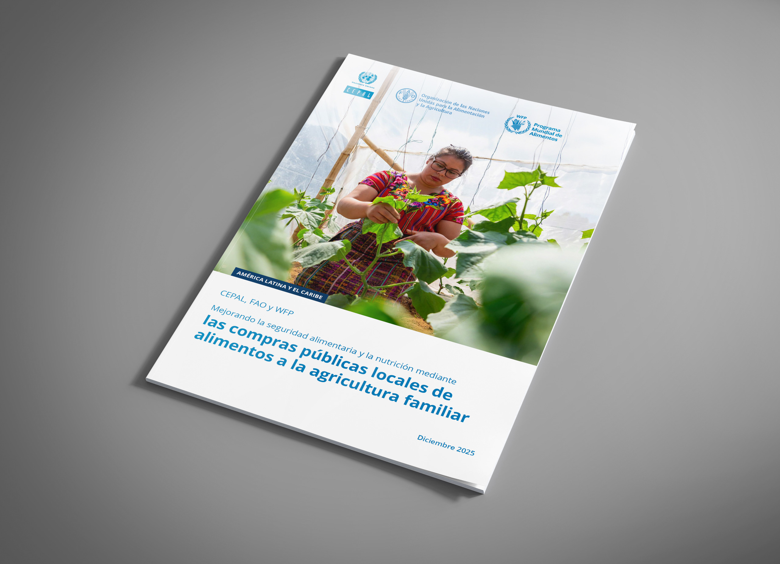 Portada informe CEPAL-WFP-FAO