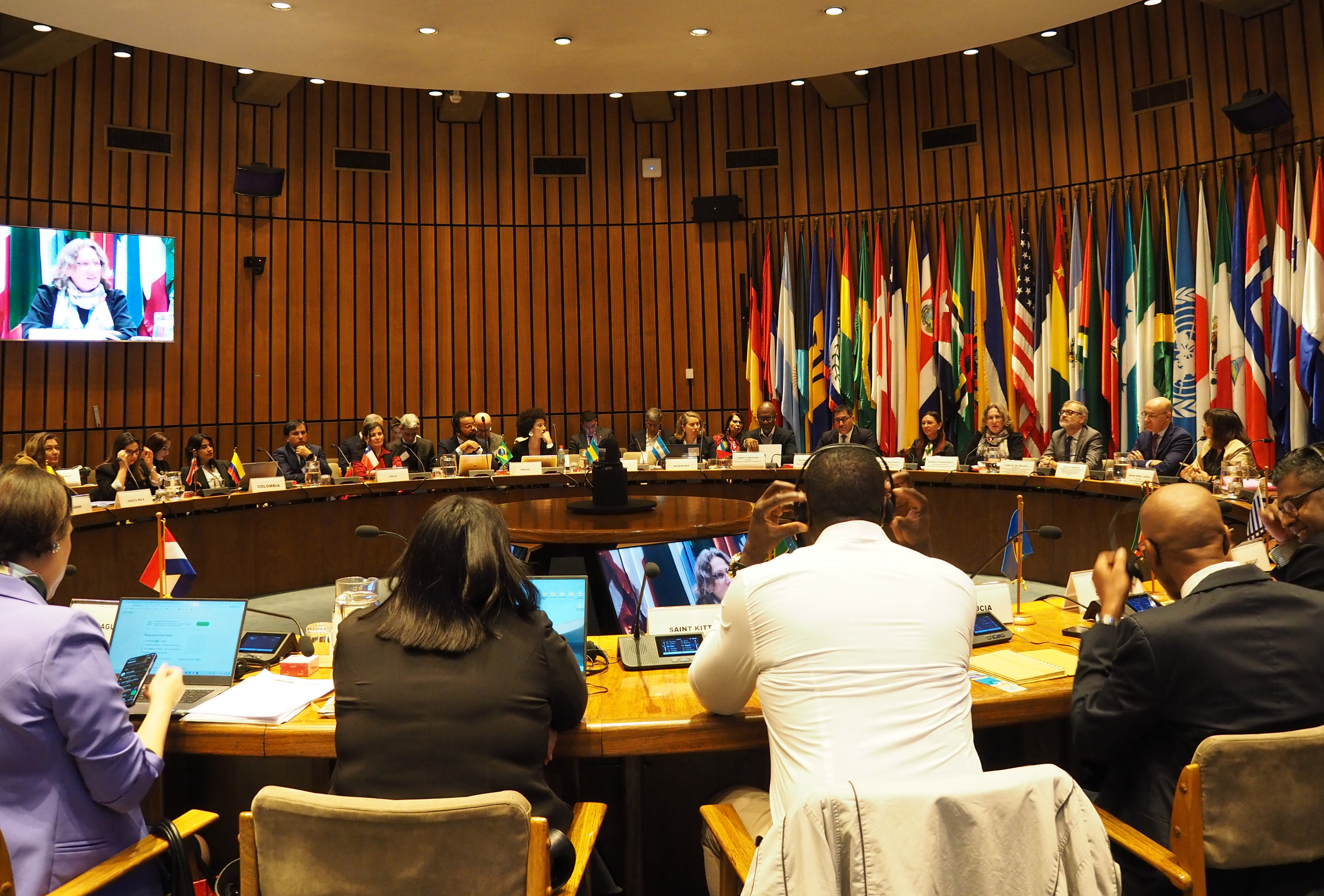 PRE-COP6 Minamata Convention