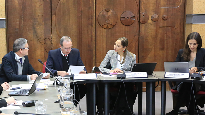 Las reuniones subregionales virtuales se organizaron en la sede de la CEPAL en Santiago, Chile.