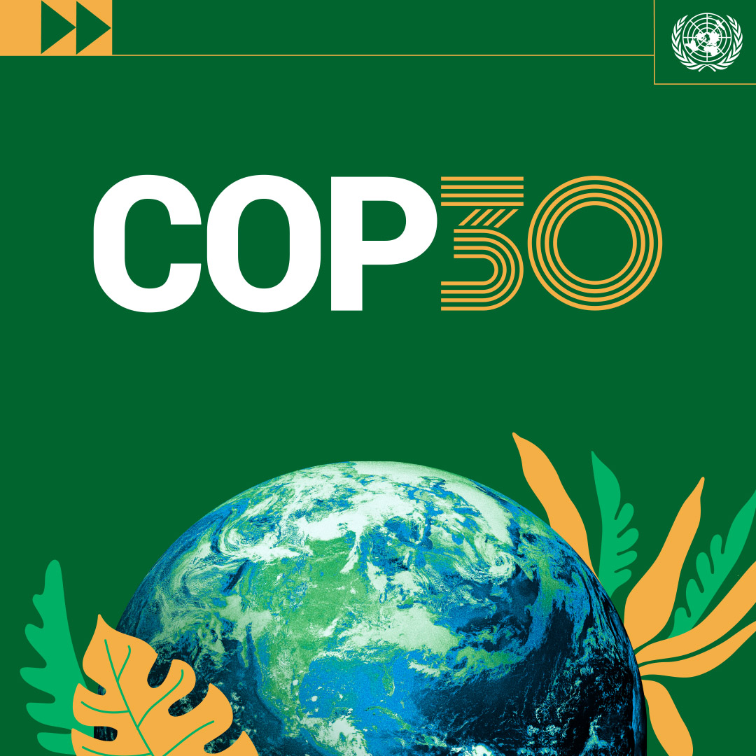 Banner oficial de la COP30