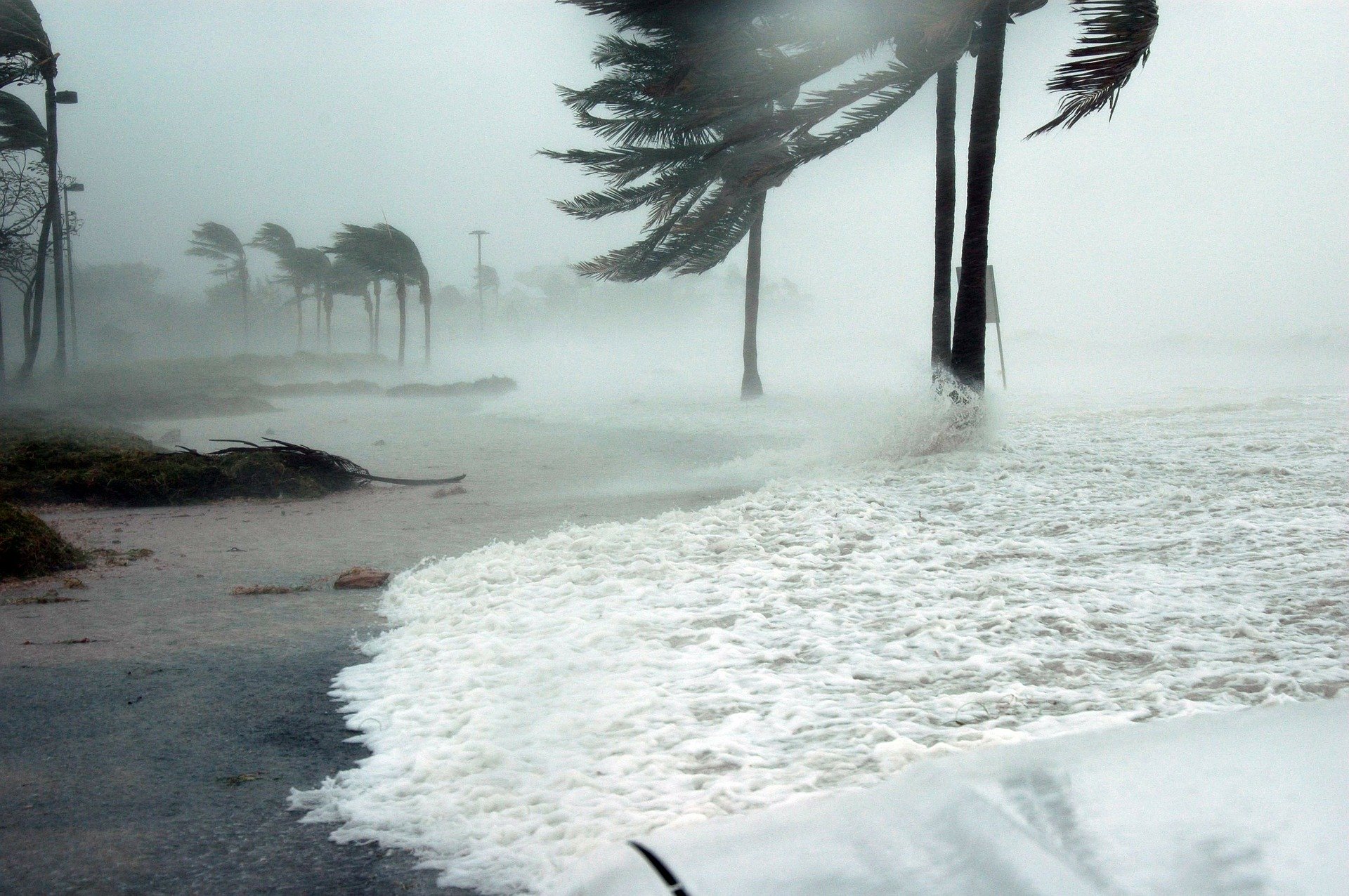 Foto de fuertes vientos en una isla del Caribe