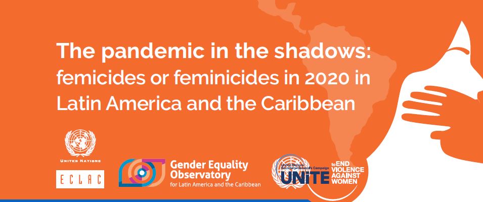 The pandemic in the shadows: femicides or feminicides in 2020 in Latin America and the Caribbean