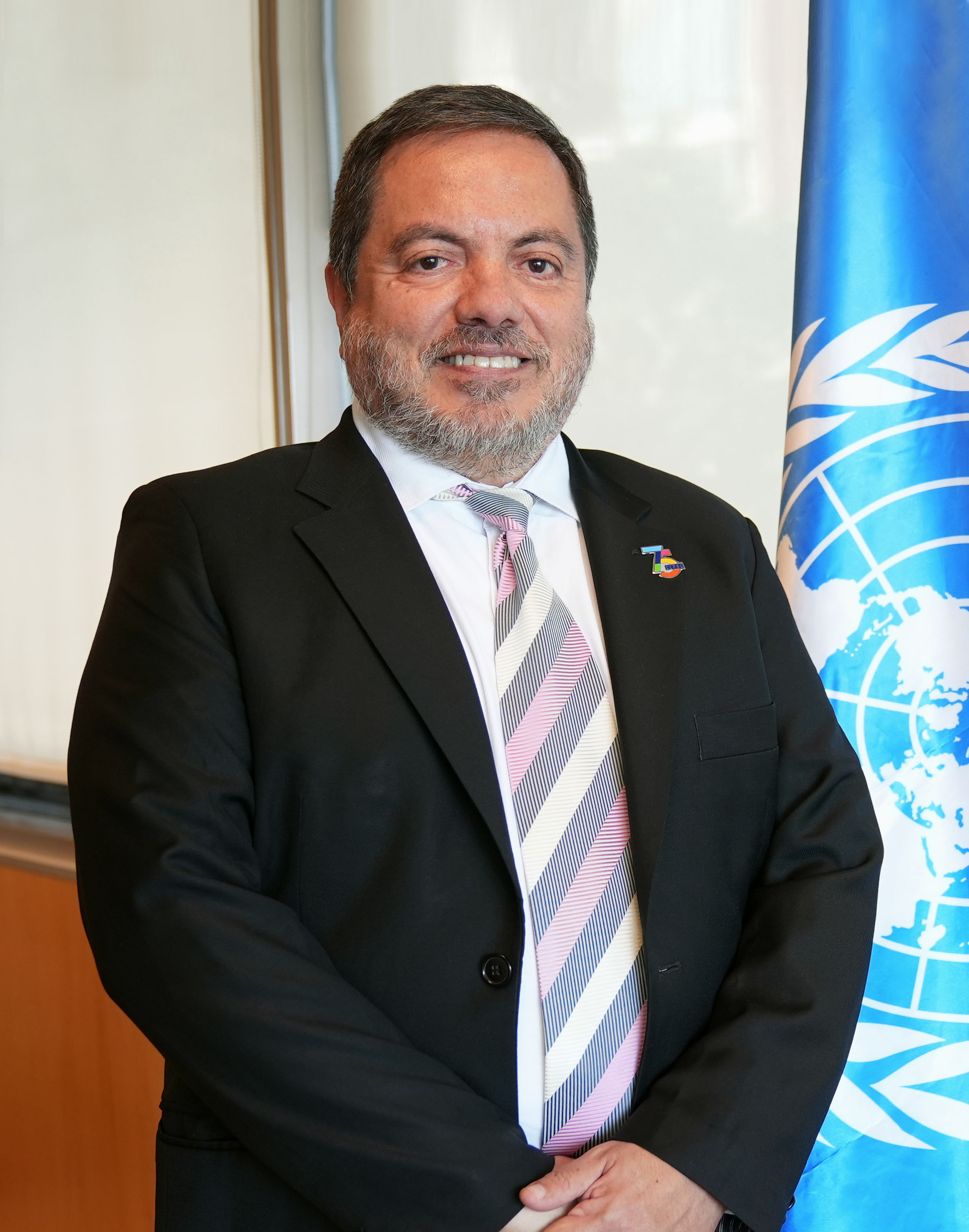 Sr. Medina-Secretario Ejecutivo Adjunto CEPAL
