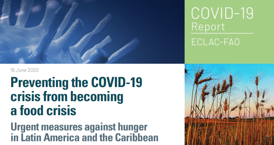Preventing the COVID-19 crisis from becoming a food crisis