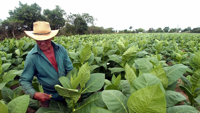 photo of a farmer