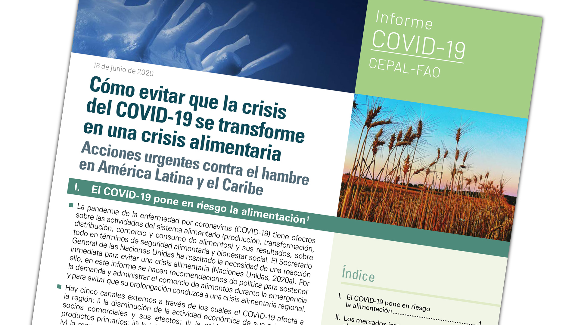 Portada documento FAO-CEPAL