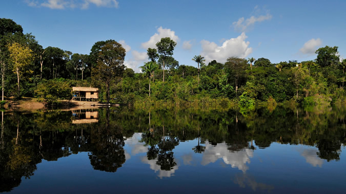 Foto con bosque y lago