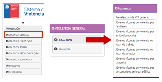 Estructura y orden de los indicadores