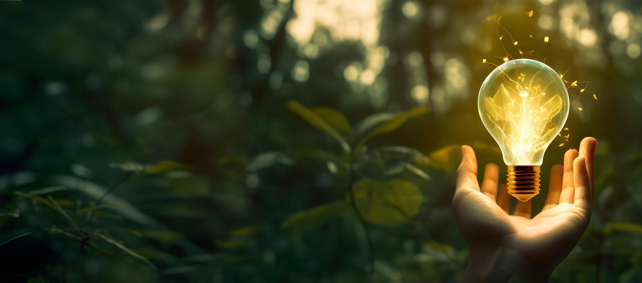 Imagen de vegetación abundante en un bosque que está oscureciendo. Al centro, una mano en la que flota una ampolleta iluminada con destellos de luz dorada que se entrelazan con lianas de vegetación lumínica.