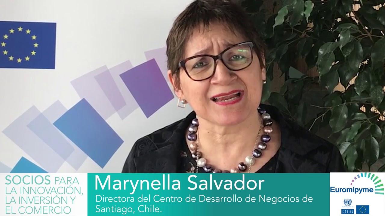 Seminario Euromipyme – Entrevista a Marynella Salvador, Centro Desarrollo de Negocios de Santiago.