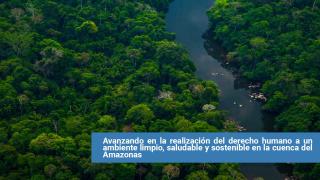 evento_cumbre_amazonia.jpg