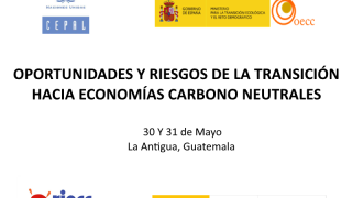 Oportunidades y riesgos de la transición hacia economías carbono neutrales