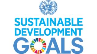 Inter-agency and Expert Group on Sustainable Development Goal Indicators (IAEG-SDGs)