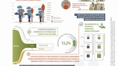 Infografía ODM 7