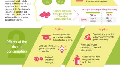 Trends and risks of the consumption in Latin American and the Caribbean infography