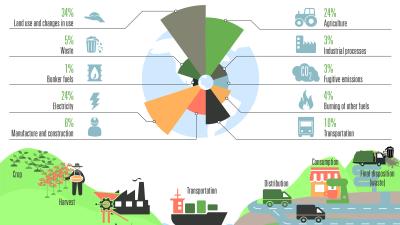 Infographic on carbon footprint and trade