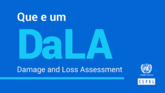 Infografía Que e um DaLA Português