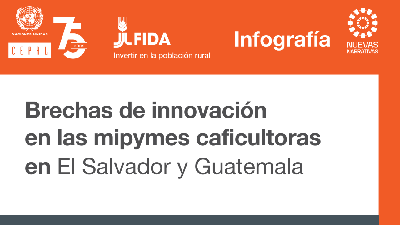 Proyecto CEPAL FIDA