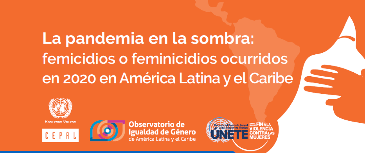 La pandemia en la sombra: femicidios o feminicidios ocurridos en 2020 en América Latina y el Caribe