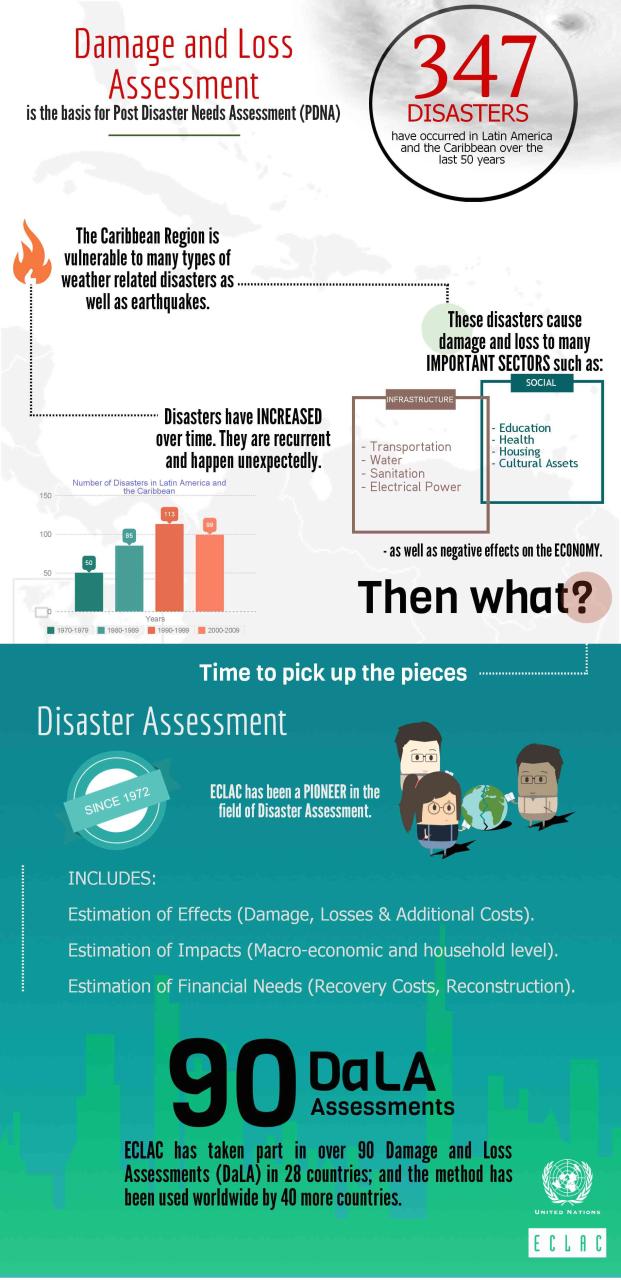 Damage and Loss Assessment infographic